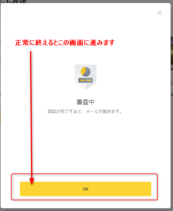 バイナンス審査中